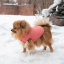 Зимняя куртка (жилетка) для выгула собак Hitvest L розовый-3